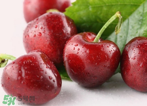 為什么吃車厘子會拉肚子？吃車厘子拉肚子怎么辦？