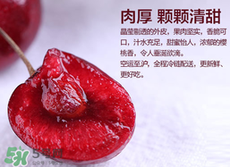 車?yán)遄幽睦锂a(chǎn)的最好？車?yán)遄赢a(chǎn)地在哪里？