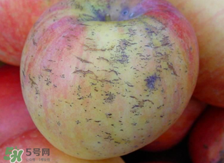 蘋果裂紋能吃嗎？蘋果裂紋是怎么回事？