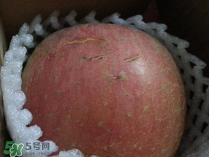 蘋果裂紋能吃嗎？蘋果裂紋是怎么回事？