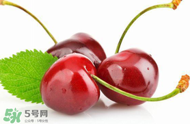 車?yán)遄涌梢詭巷w機(jī)嗎？車?yán)遄幽軒巷w機(jī)嗎？