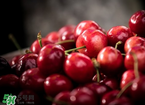 車?yán)遄邮裁醇竟?jié)吃？車?yán)遄邮鞘裁醇竟?jié)的水果？