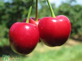 車?yán)遄雍臀r能一起吃嗎？吃完車?yán)遄涌梢猿晕r嗎？