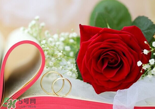 情人節(jié)送什么顏色的玫瑰花好？情人節(jié)送幾朵玫瑰花好？