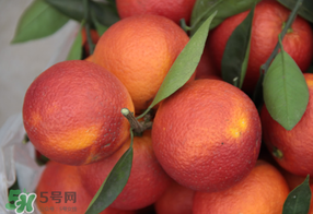 血橙多少錢一斤？四川血橙多少錢一斤？