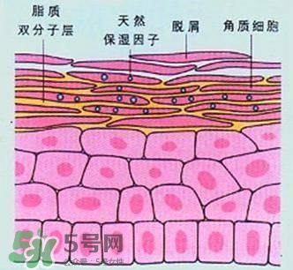 敷面膜真的有效嗎？敷面膜真的有用嗎？