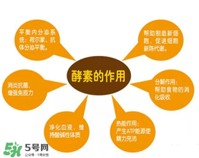 喝酵素拉肚子正常嗎？喝酵素拉肚子的原因