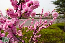 春天養(yǎng)生湯有哪些？春季養(yǎng)生喝什么湯好？