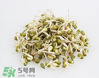 黃豆芽能做餡料嗎？黃豆芽餡包子怎么做？