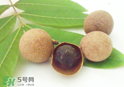 桂圓干多少錢一斤？干桂圓多少錢一斤？