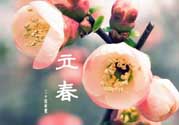 立春后種什么花？立春時(shí)開的花有哪些？