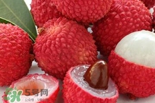 荔枝能放多久？荔枝可以放幾天？