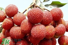 孕期吃荔枝會流產(chǎn)嗎？孕婦吃荔枝會好嗎？