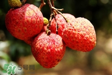 坐飛機(jī)能帶荔枝嗎？荔枝可以帶上飛機(jī)嗎？