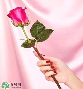 kate spade2017情人節(jié)包包多少錢？凱特絲蓓2017情人節(jié)包包哪里買？