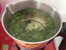 香菜煮水洗腎是真的嗎？香菜煮水洗腎是真的嗎