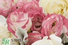 七夕情人節(jié)有必要送花嗎？情人節(jié)為什么要送花？