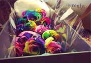 roseonly鮮花多少錢？roseonly永生花多少錢？