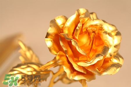 情人節(jié)可以送金玫瑰嗎？情人節(jié)送金玫瑰好嗎？