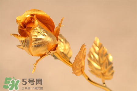 情人節(jié)可以送金玫瑰嗎？情人節(jié)送金玫瑰好嗎？