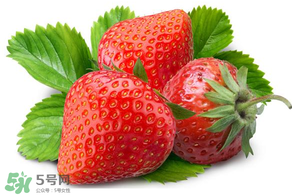 小孩多吃草莓好嗎？小孩可以摘草莓嗎？