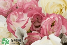 鮮花怎么養(yǎng)？鮮花怎么養(yǎng)放的比較久？