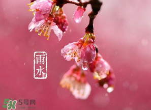 雨水吃什么？雨水節(jié)氣飲食禁忌？