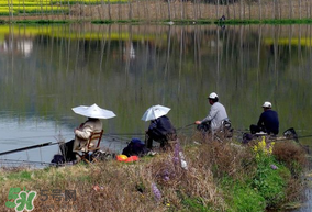 初春什么時(shí)候可以釣魚？初春釣魚技巧