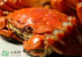 春天的螃蟹能吃嗎？開春后大閘蟹能吃嗎？