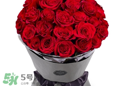 玫瑰花放在水里怎么養(yǎng)？玫瑰花插水里怎么養(yǎng)？