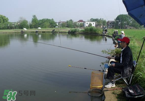 春天釣魚用什么餌料？春天釣魚用腥還是香？