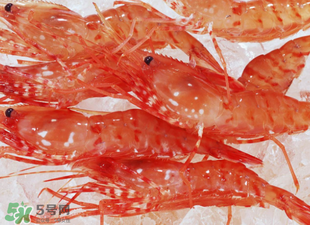 凍蝦能放多久？?jī)鑫r放冰箱冷藏多久？