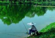 春天釣魚用什么餌料？春天釣魚用腥還是香？