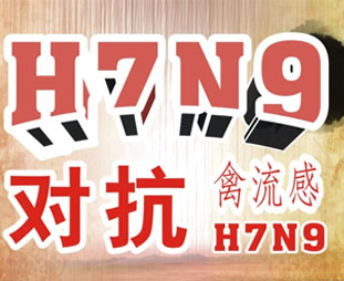 禽流感期間吃什么？預防禽流感吃什么好？