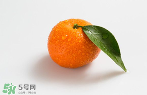 桔子批發(fā)多少錢一斤？桔子多少錢一斤？