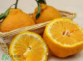 丑橘少錢一斤？丑橘一斤幾個？