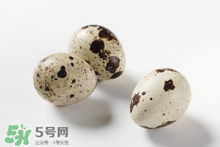 禽流感可以吃鵪鶉蛋嗎？禽流感期間能吃鵪鶉蛋嗎？