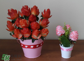 草莓花束怎么做？草莓花束怎么扎起來？