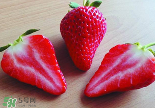 九九草莓多少錢一斤？99草莓價格是多少？