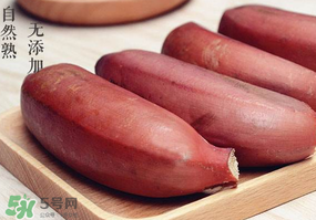 紅色香蕉和黃香蕉哪個(gè)好？紅香蕉和普通香蕉的區(qū)別