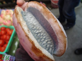 野香蕉可以吃嗎？野香蕉怎么吃？