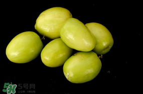 青棗什么時(shí)候上市？青棗什么時(shí)候成熟？