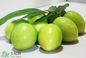 青棗什么時(shí)候上市？青棗什么時(shí)候成熟？