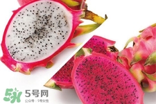 3月份有火龍果吃嗎？三月份可以吃火龍果嗎？