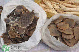 穿山甲下奶怎么吃？穿山甲下奶效果好嗎？