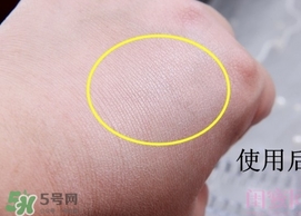 canmake花瓣高光怎么用？canmake花瓣雕刻高光使用方法