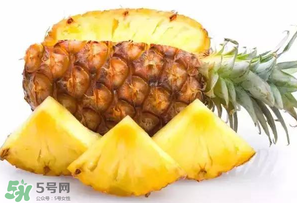 菠蘿批發(fā)多少錢(qián)一斤？菠蘿批發(fā)價(jià)格