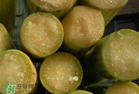 甘蔗要洗嗎？吃甘蔗時(shí)要用鹽水洗嗎？