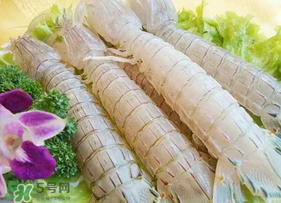 皮皮蝦為什么沒有肉？皮皮蝦為什么里面沒肉？