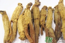 高麗參怎么吃效果最好？高麗參的正確吃法